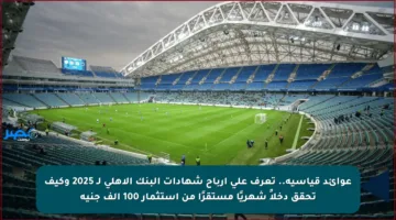 عوائد قياسية.. تعرف على أرباح شهادات البنك الأهلي لـ 2025 وكيف تحقق دخلاً شهريًا مستقرًا من استثمار 100 ألف جنيه
